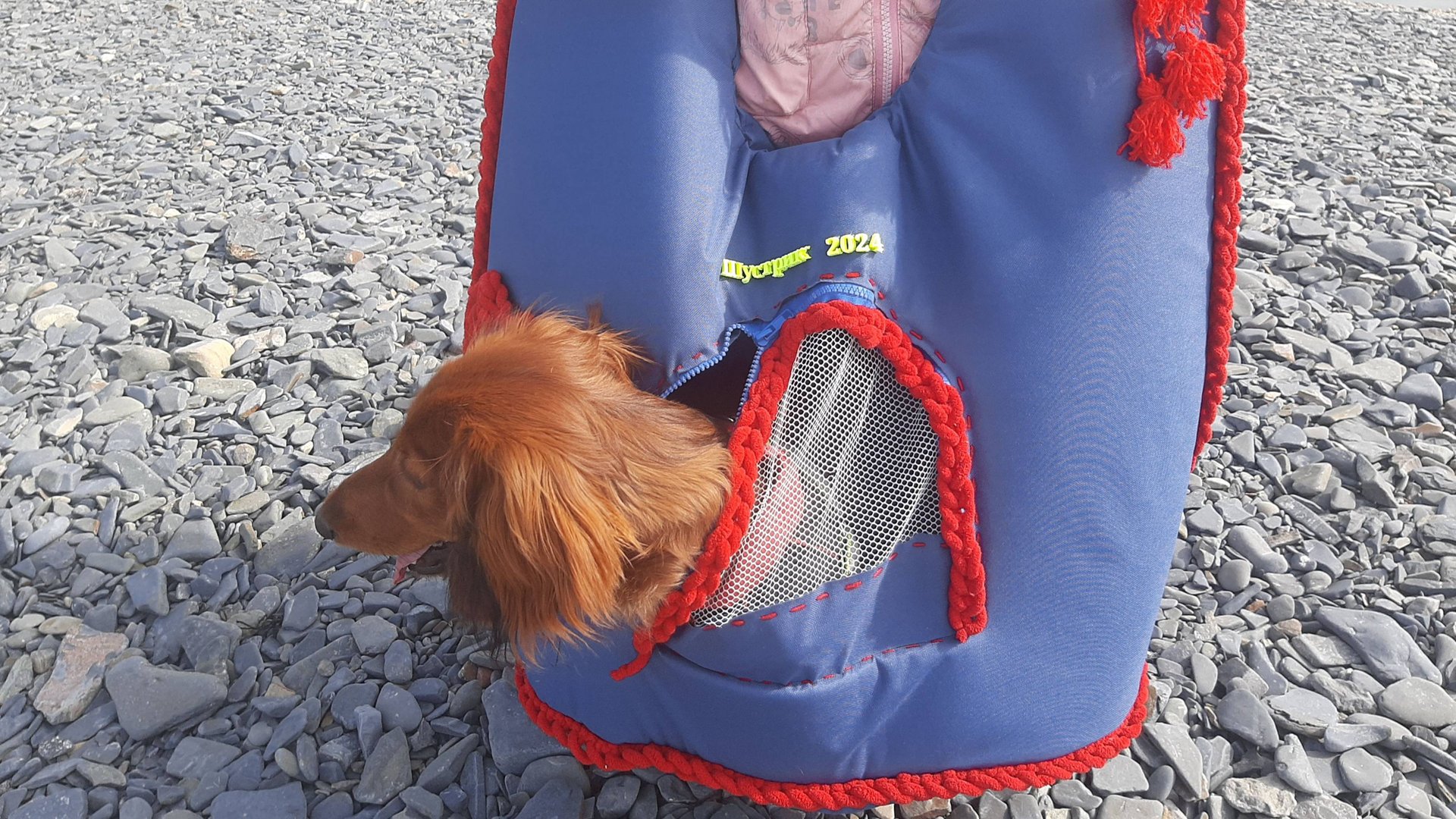 Домик-переноска с обогревом для животных смотреть онлайн