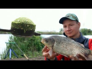 Кормушка пробка уловистая на карася и карпа, поклёвки рыбы на фидерную снасть, рыбалка 2023