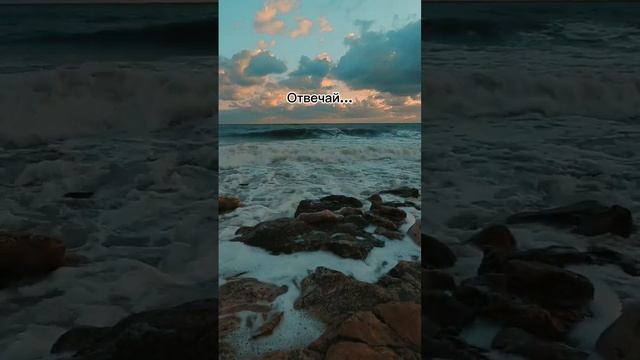 😳🤣 Скажи Арасии... всегда! #фэнтези #чточитать #книга #буктюб #книголюб @Lorenzo.bagnati смотреть онлайн