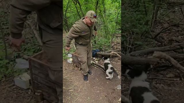 Дружочек СВО смотреть онлайн