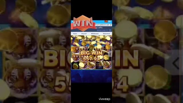A9Today | BNG - Tiger Jungle rawrrr смотреть онлайн