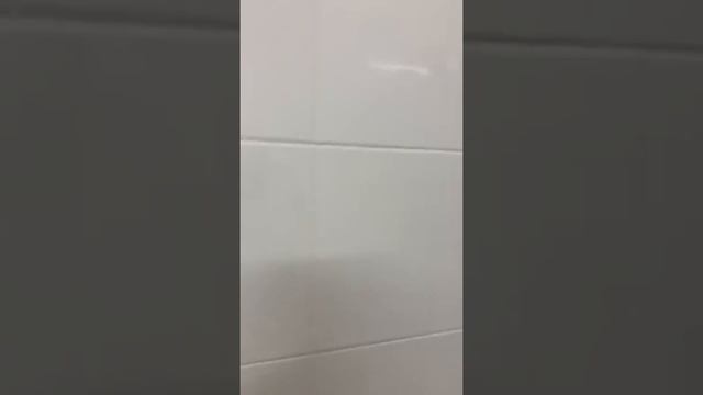 Линия по забою и переработке птицы смотреть онлайн