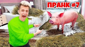 СДЕЛАЛ СВИНАРНИК В КВАРТИРЕ ДРУГА **месяц пранков**
