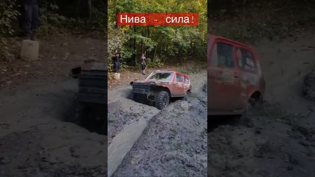 «Ступенька на спор» #skrdlife смотреть онлайн