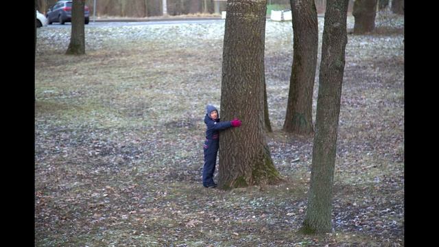 Мост-плотина на реке Стрелке в Стрельне смотреть онлайн