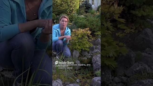 Какую породу камня использовать в саду. смотреть онлайн