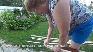 ПЕРГОЛА ДЛЯ ДАЧИ  / Пергола женскими руками /Как я делала пЕрголу  8 июля 2019 г.