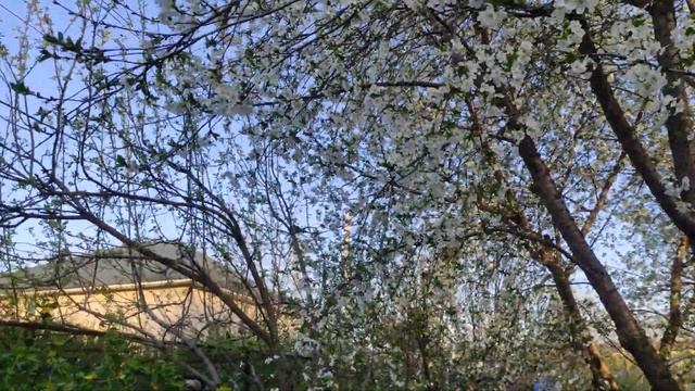 Домик для цыплят своими руками смотреть онлайн