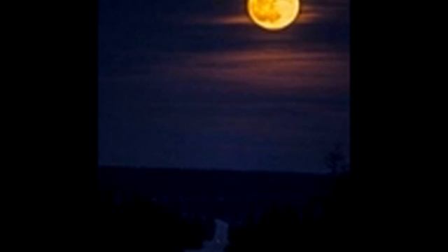 Иван Бунин — Поздней ночью: Рассказ смотреть онлайн