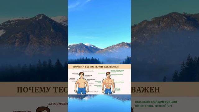 Продукты, которые влияют на уровень тестостерона смотреть онлайн