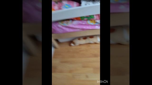 Застрял????????????