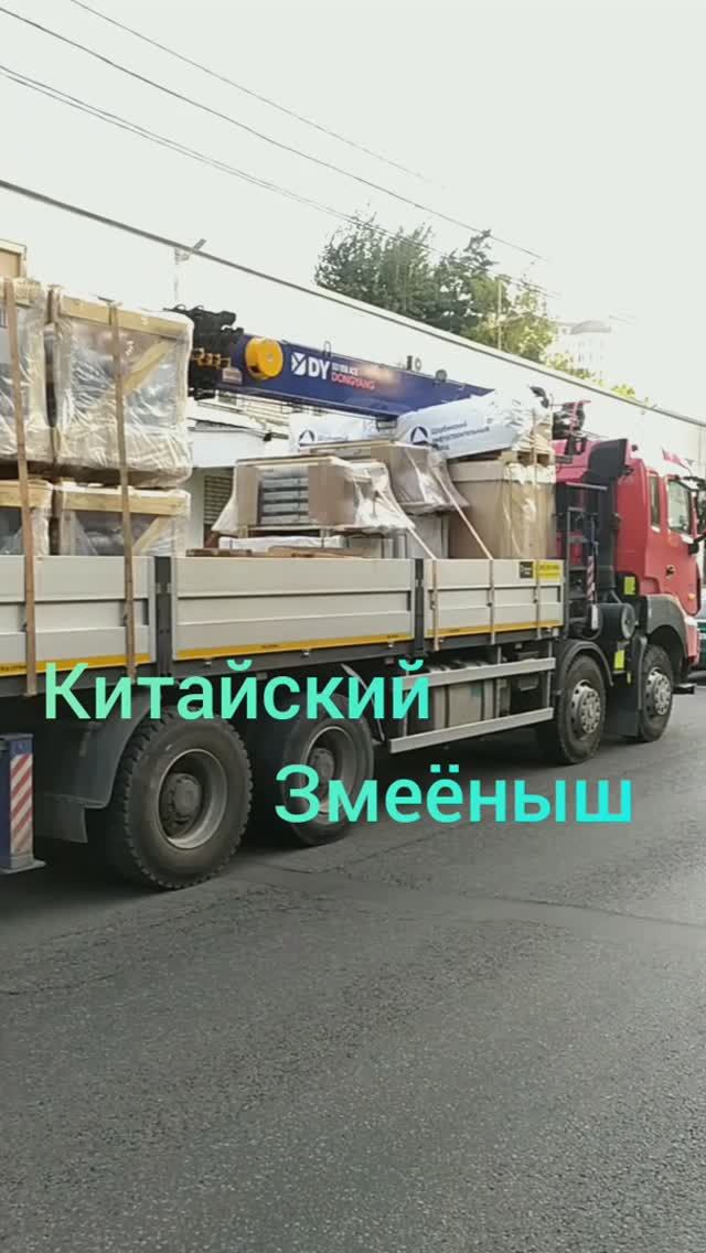 Китайский змеёныш 13.09.24 смотреть онлайн