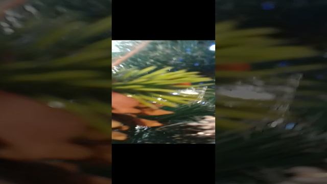 что видет аня на елке смотреть онлайн
