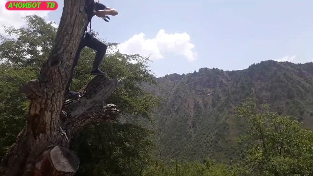 Лонаи Чокак Шури боло сайру гашт дар кухои Чилдара