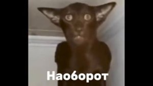 Миша ты что пукнул