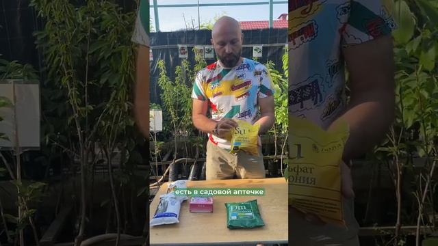 24 июня 2023 г. смотреть онлайн