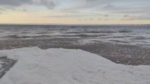 Волга сегодня, с левого берега