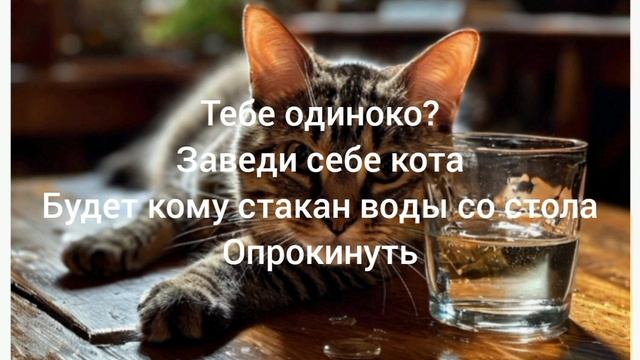 семейный уют