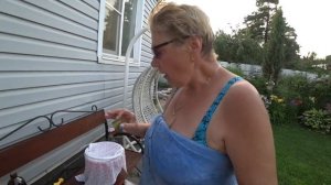 ПРОТУХЛИ ИЛИ ЗАКВАСИЛИСЬ ? / Томат Герцогиня Вкуса / Ушла в чём мать род..  17 июля 2021 г.