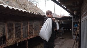 Уборка, реставрация клеток, кормление НУТРИЙ. 06.11.24