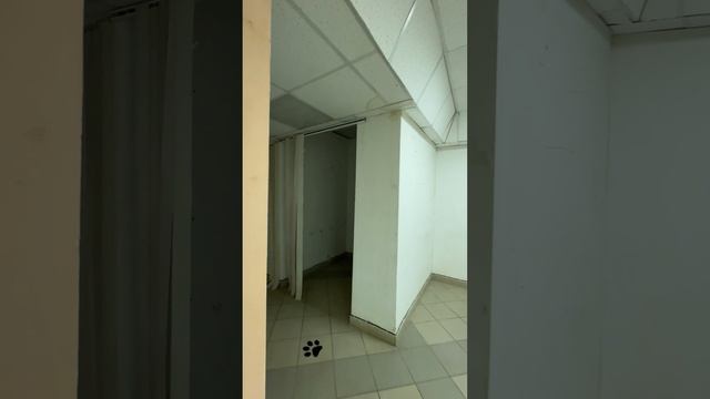 17-12-2024 смотреть онлайн