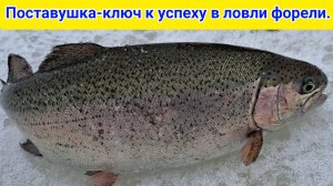 Самая простая и уловистая снасть на форель зимой