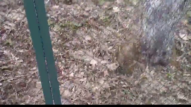 Заброшеный лагерь "Радуга" / прогулка по городу/Jina смотреть онлайн