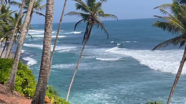 Шриланка смотреть онлайн