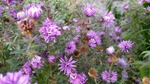 Поговори с ней 1 - 4 серии | Мелодрама 2021