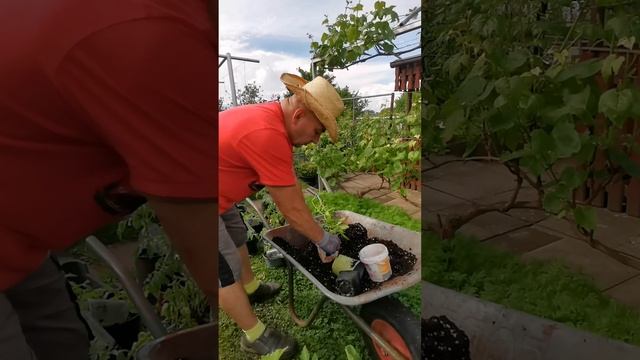 Воскресенье 19.05.24 Часть 3 смотреть онлайн