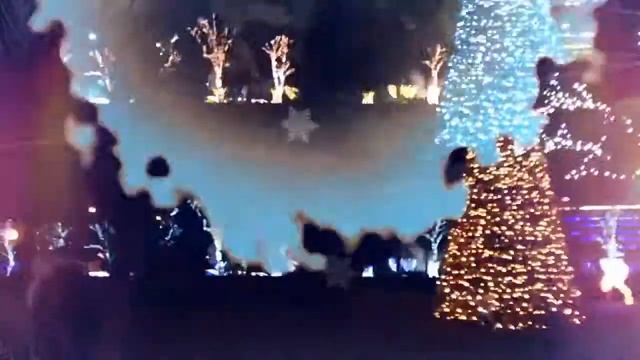 Зимняя Сказка || Brest winter tale || Irina Grenberg смотреть онлайн