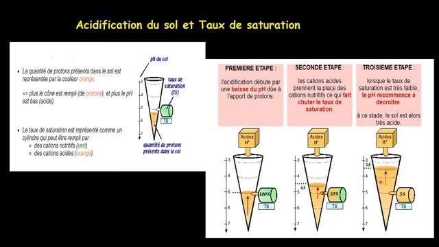 Acidité et pH des sols смотреть онлайн