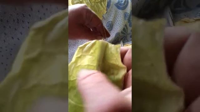 Сушка,нанизывание табачных листьев смотреть онлайн