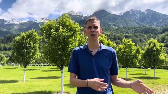 Плавание для триатлона Часть 3 Самое главное в плавании для триатлетов смотреть онлайн