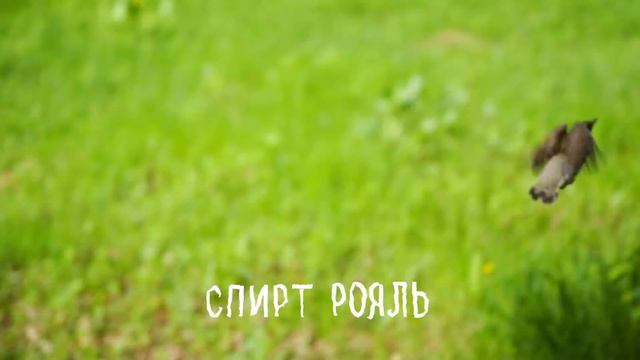 ФУРА ФАНФУРИКОВ - ТАНЦЫ смотреть онлайн