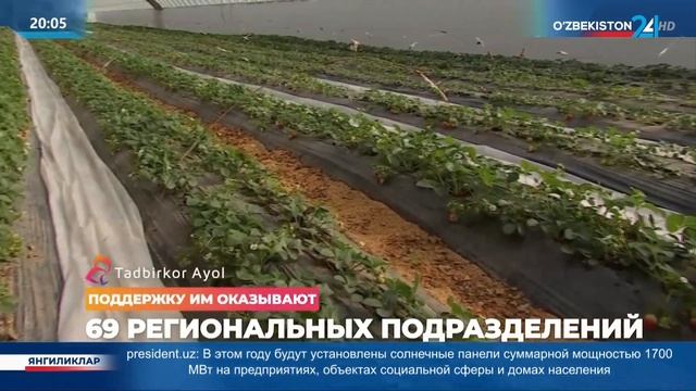 Женщины-фермеры: цифровизация и новые технологии - фактор успеха смотреть онлайн
