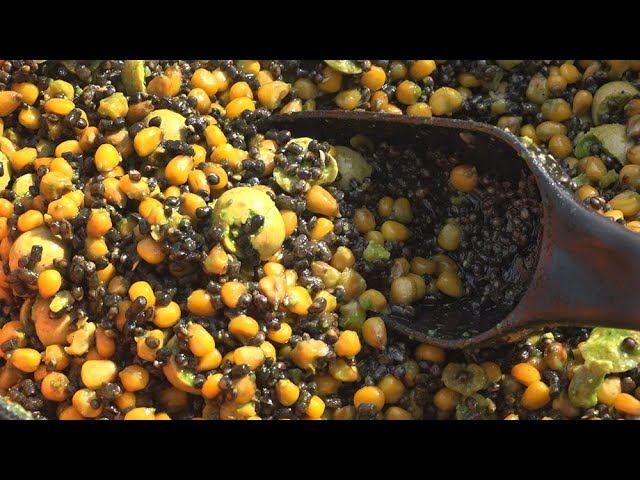 Закормил кукурузой, и сазан попёр, 24 часа на рыбалке, хороший клёв рыбы, природа и отдых смотреть онлайн