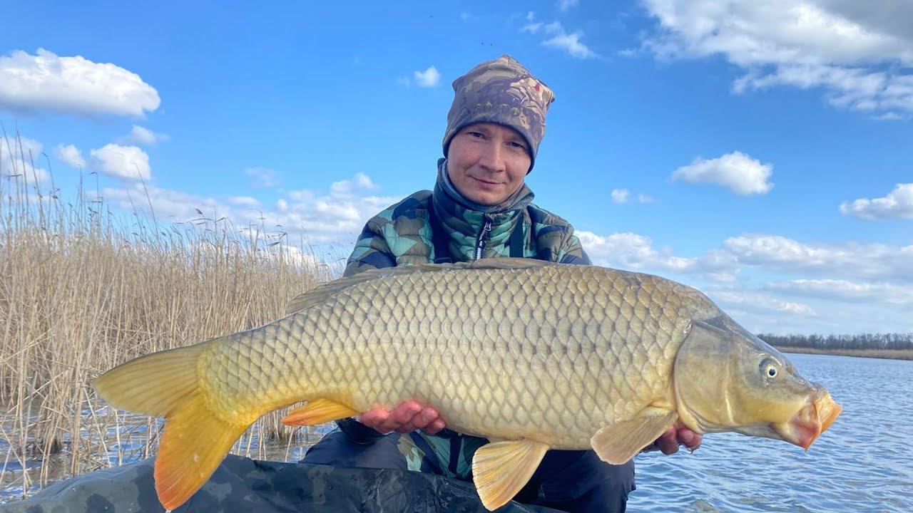 РЫБАЛКА НА САЗАНА ВЕСНОЙ, ЛОВЛЯ РЫБЫ, клёв рыбы, рыболовный день смотреть онлайн
