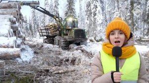 Лесозаготовка в Пинежском леспромхозе