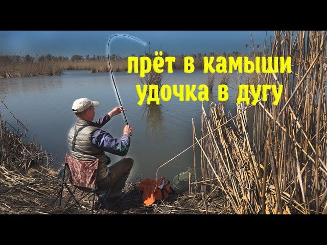 УДОЧКА В ДУГУ ОТ ТАКИХ КАРАСЕЙ, РЫБАЛКА ВЕСНОЙ 2022 НА ПОПЛАВОК, клёв рыбы, рецепт икры карася смотреть онлайн