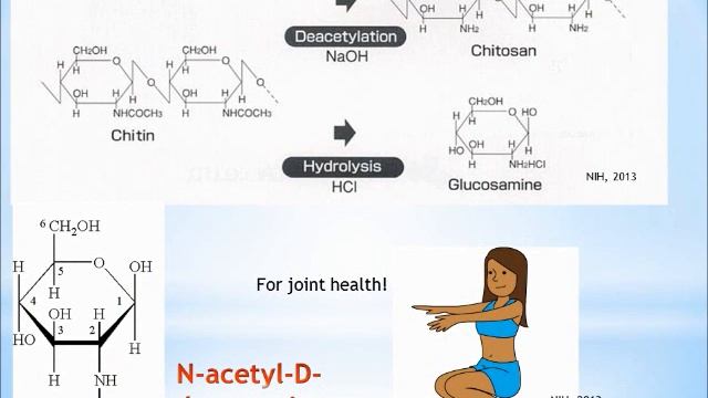Chitosan | Breakthrough Challenge смотреть онлайн