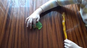 лизуны прилипалы