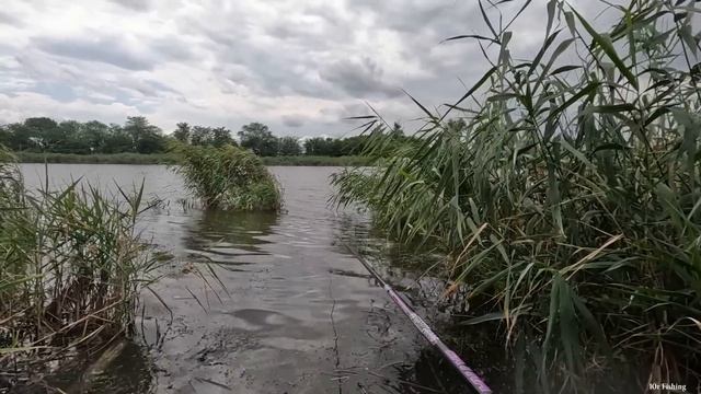 НАКОСИЛ РЫБУ С ПОМОШЬЮ КОСЫ, РЫБАЛКА НА КАРАСЯ, ЛОВЛЯ РЫБЫ, хороший клёв смотреть онлайн