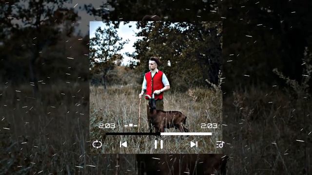 Baby Lasagna - Rim Tim Tagi Dim ( slowed) смотреть онлайн