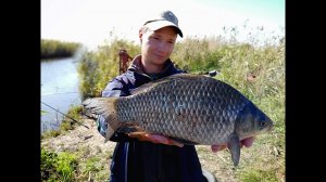 РЫБАЛКА НА КРУПНОГО КАРАСЯ НА ПОПЛАВОЧНУЮ УДОЧКУ