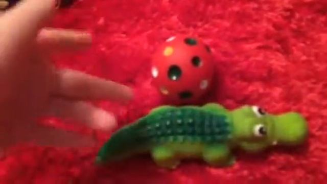 Игрушки для собак смотреть онлайн