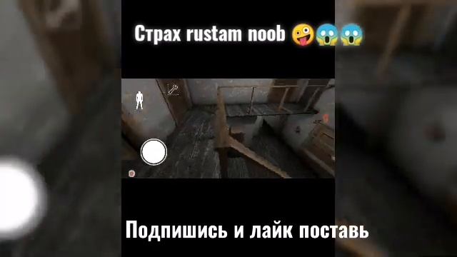 пауки приследуют меня гигантский паук и аджела паучише. Пугливый rustam noob смотреть онлайн