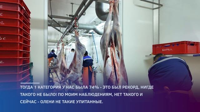 Александр Худи отмечен знаком отличия «За заслуги перед Ямалом» смотреть онлайн