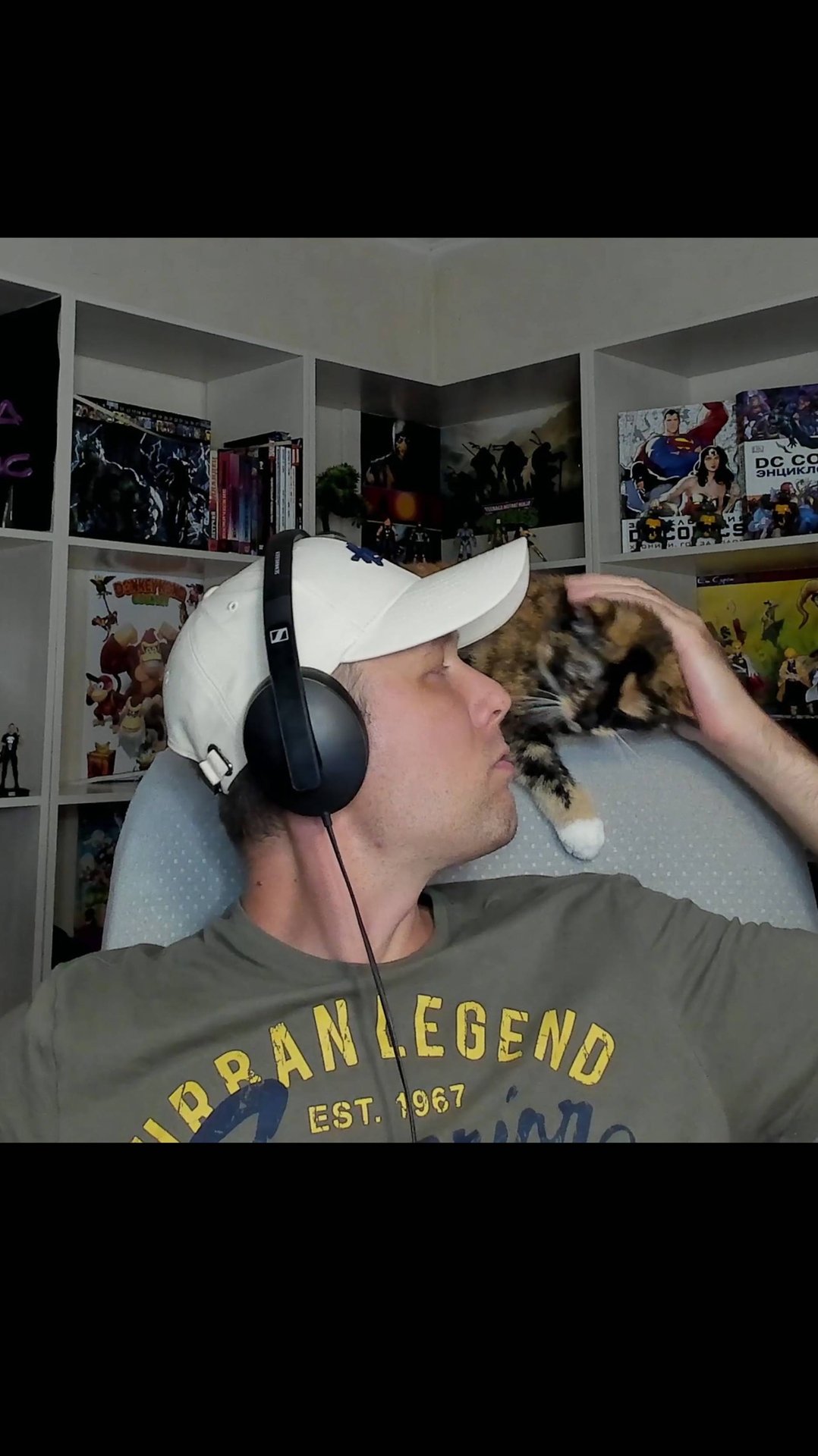 Смешные нарезки с Ёш Серёжем часть 26 / Еш Сереж и кот #shorts #ешсереж #ежсереж #котоблогер смотреть онлайн