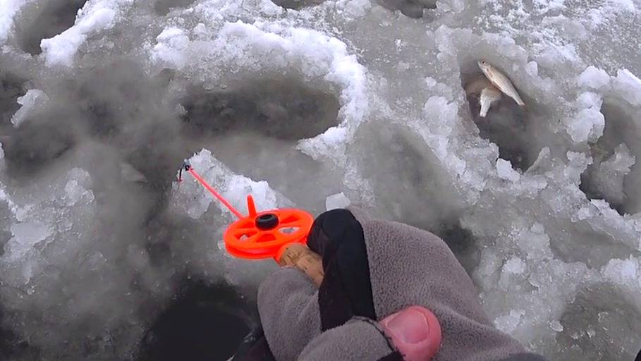 КТО КЛЮНУЛ НА СЫРНЫЙ КУБИК? смотреть онлайн